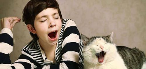 為什么打哈欠會傳染