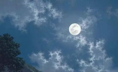 關(guān)于孤獨(dú)的話題作文