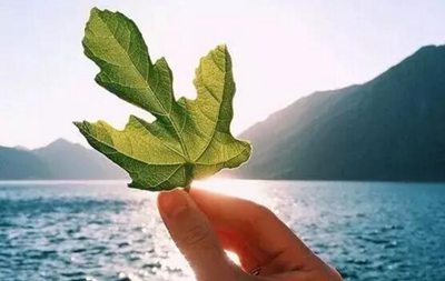 關于藝術的英語名人名言