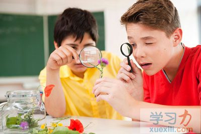 學習興趣是學習力最好的品質