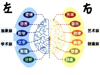 右腦開發(fā)