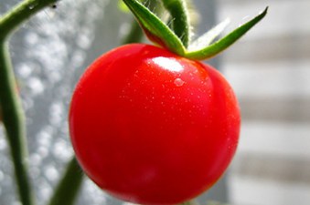 番茄時間管理法