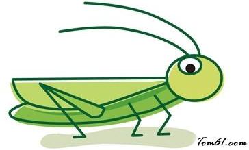 為什么蝗蟲(chóng)成群活動(dòng)?