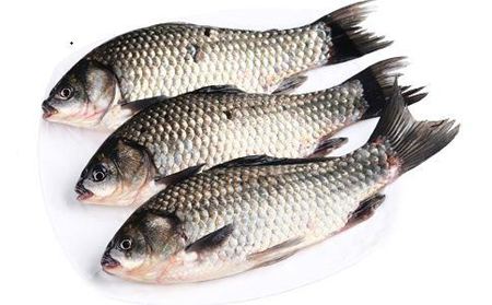 魚身上的黏液有什么作用?怎么去除?