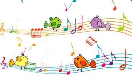 鳥兒為什么要唱歌,小鳥歌唱的原因