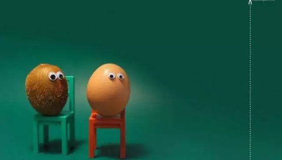 鳥認識自己的蛋嗎,為什么有的鳥不認識自己的蛋