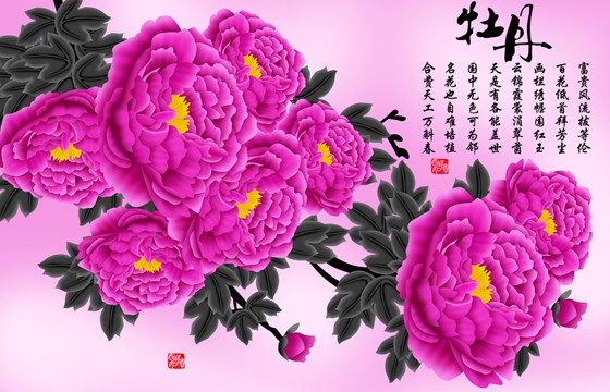 為什么牡丹被稱為花中之王?