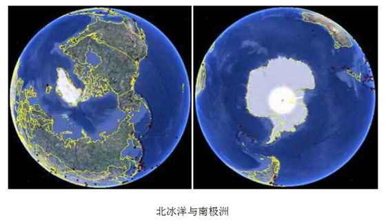 南極和北極有植物嗎?