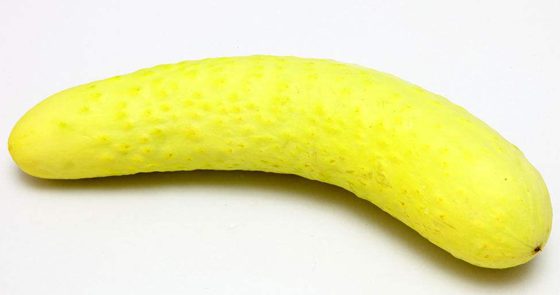 為什么有的黃瓜發苦,黃瓜苦是怎么回事