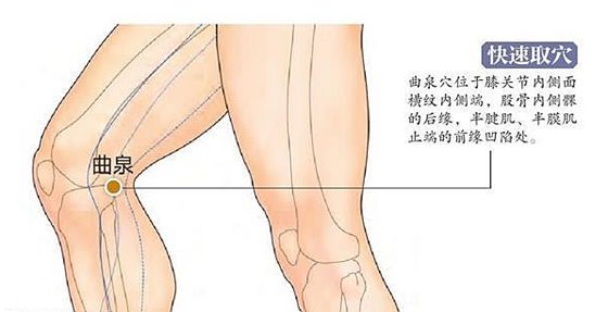 為什么蹲久了腿會(huì)麻,腿麻是怎么回事