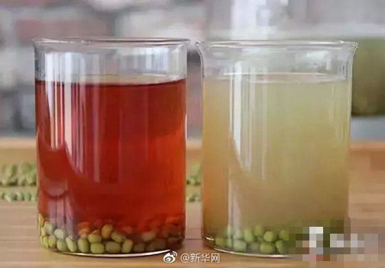 為什么綠豆不能做豆漿,綠豆做不成豆漿的原因