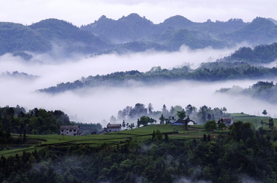 為什么早晨會有霧,霧是怎么形成的