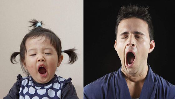 打哈欠為什么會(huì)傳染,打哈欠傳染是什么效應(yīng)