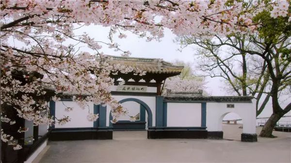 黿頭渚怎么讀拼音是什么,無錫黿頭渚是什么地方