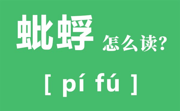 蚍蜉怎么讀拼音是什么,蚍蜉是什么,蚍蜉撼樹什么意思