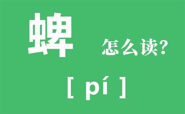 蜱怎么讀_蜱蟲是什么_蜱是什么意思?