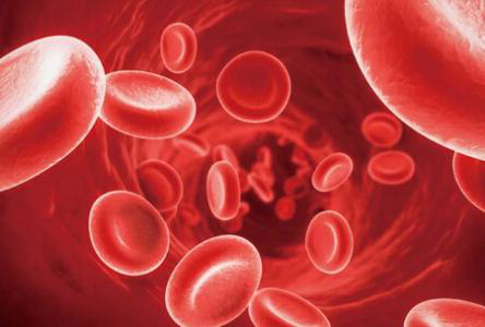 為什么白細胞被稱為人體衛(wèi)士