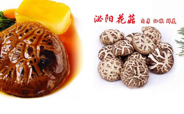 泌陽的泌怎么讀,泌陽旅游攻略,泌陽特產(chǎn)