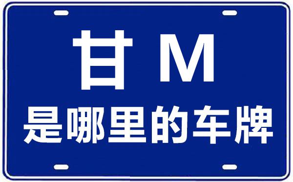 甘M是哪里的車牌號,慶陽的車牌號是甘什么