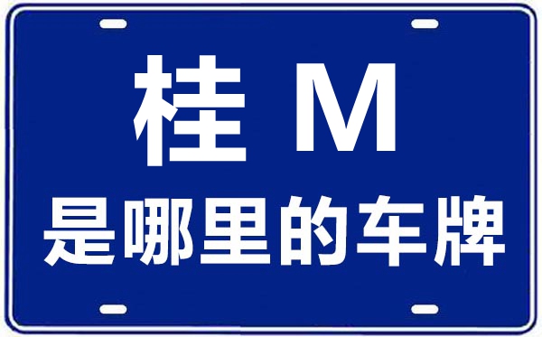桂M是哪里的車牌號,河池的車牌號是桂什么