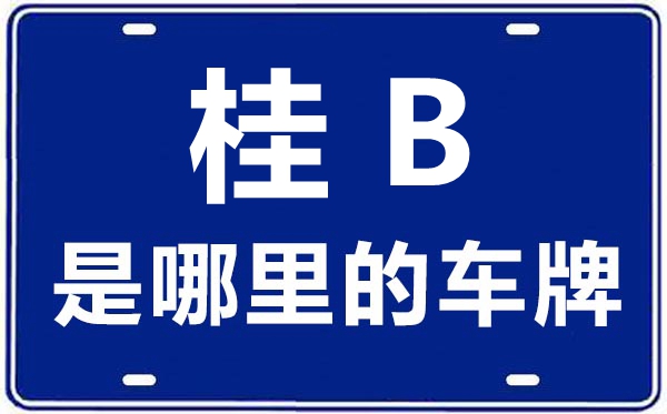 桂B(yǎng)是哪里的車牌號,柳州的車牌號是桂什么