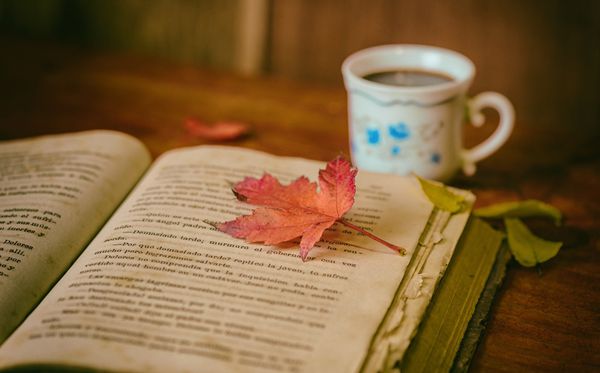 為什么舊書會變黃,舊書書頁發(fā)黃的原因是什么