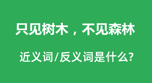 只見樹木,不見森林的近義詞和反義詞是什么,只見樹木,不見森林是什么意思