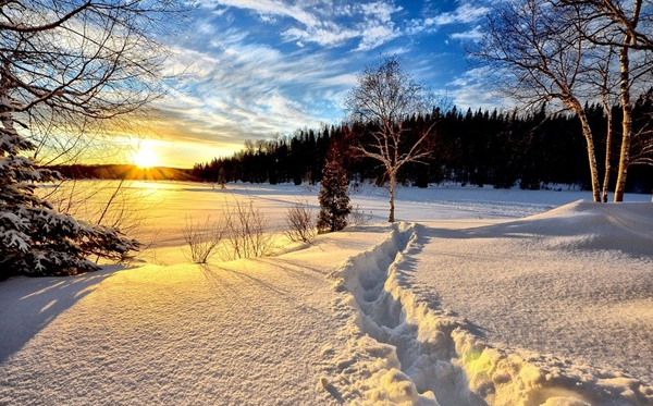 2023年三九天時間表,今年三九天的起止時間表