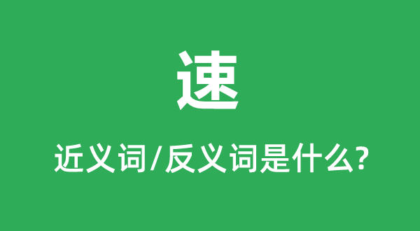 速的近義詞和反義詞是什么,速是什么意思