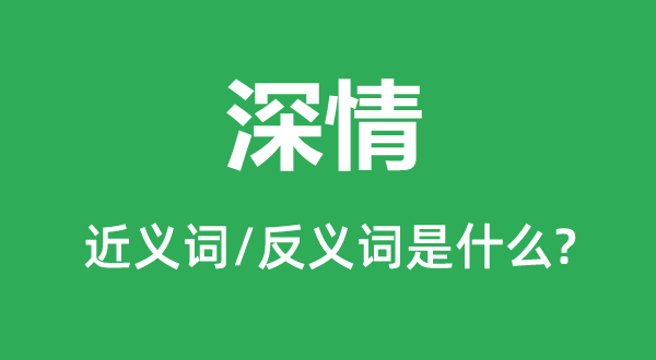 深情的近義詞和反義詞是什么,深情是什么意思