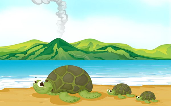 帶龜字的成語(yǔ)有哪些,關(guān)于龜字的四字成語(yǔ)