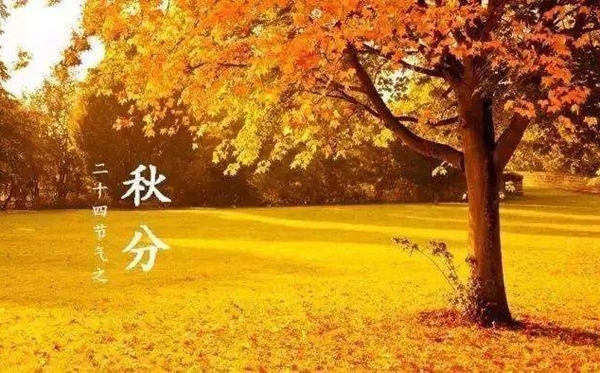 秋分節氣的含義是什么,秋分節氣的特點和風俗簡介