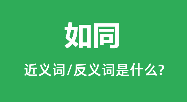 如同的近義詞和反義詞是什么,如同是什么意思