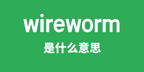 wireworm是什么意思