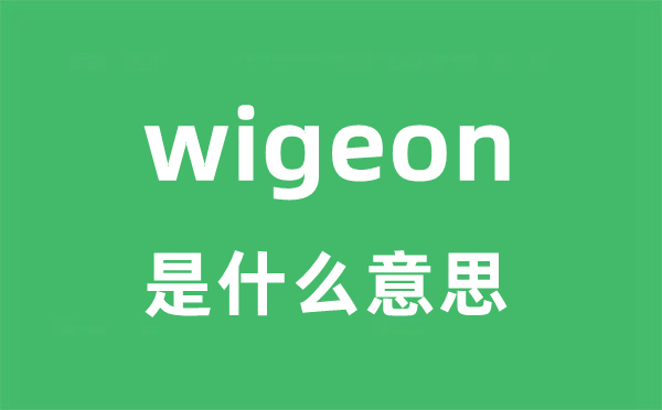 wigeon是什么意思
