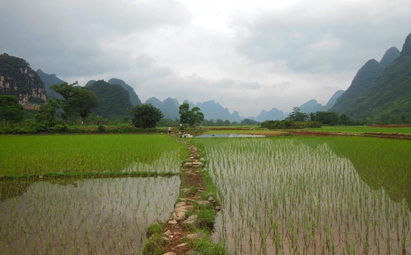 云南有哪些大學,云南省所有大學名單一覽表