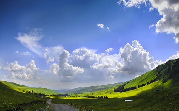 新疆540分能上什么大學,高考540分可以報考哪些大學?