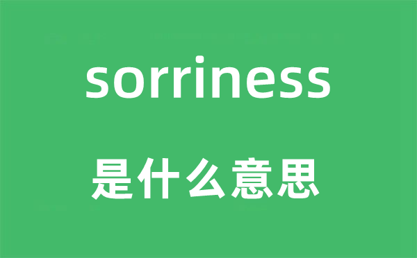 sorriness是什么意思,sorriness怎么讀,中文翻譯是什么