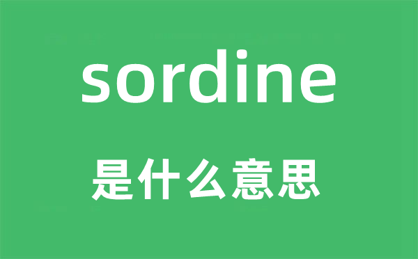 sordine是什么意思,sordine怎么讀,中文翻譯是什么