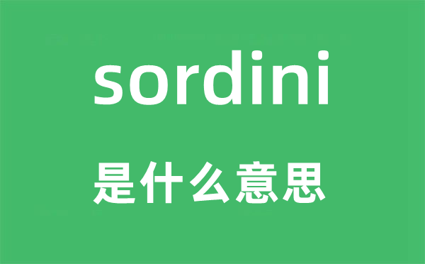 sordini是什么意思,sordini怎么讀,中文翻譯是什么