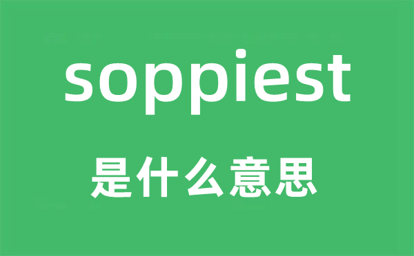 soppiest是什么意思,soppiest怎么讀,中文翻譯是什么