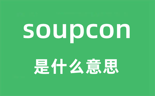 soupcon是什么意思,soupcon怎么讀,中文翻譯是什么