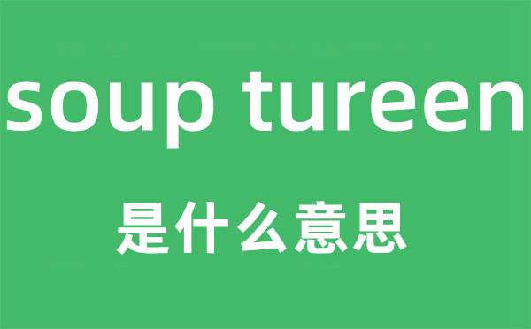 soup tureen是什么意思,中文翻譯是什么