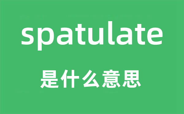 spatulate是什么意思,spatulate怎么讀,中文翻譯是什么