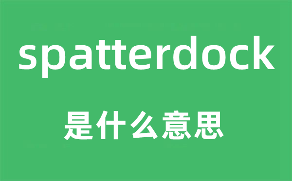 spatterdock是什么意思,spatterdock怎么讀,中文翻譯是什么