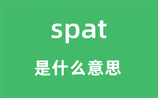 spat是什么意思,spat怎么讀,中文翻譯是什么