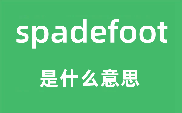 spadefoot是什么意思,spadefoot怎么讀,中文翻譯是什么