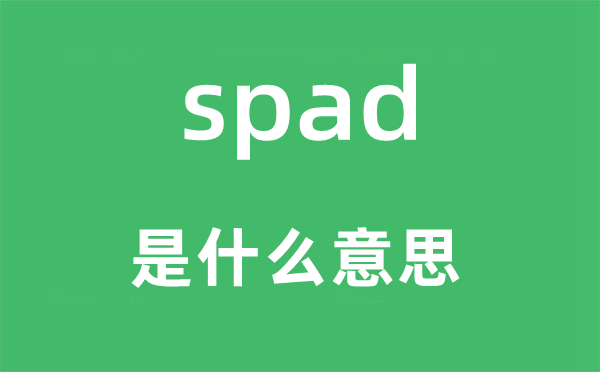 spad是什么意思,spad怎么讀,中文翻譯是什么