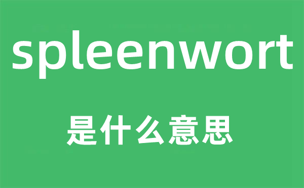 spleenwort是什么意思,spleenwort怎么讀,中文翻譯是什么