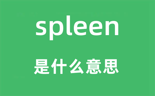 spleen是什么意思,spleen怎么讀,中文翻譯是什么
